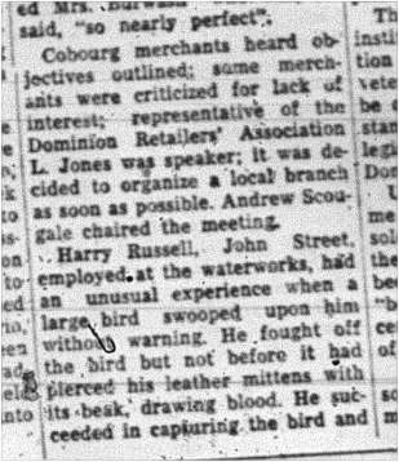 1964-02-19 Softball -Cobourg Merchants