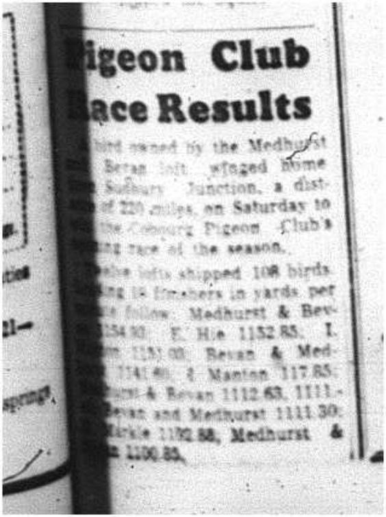 1964-05-27 Pigeon Racing - Cobourg Pigeon Club - Race Results