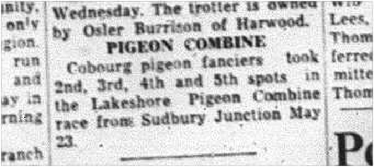 1964-05-27 Pigeon Racing - Lakeshore Combine race