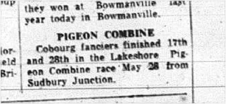 1964-06-10 Pigeon Racing - Mens - Sudbury Junction