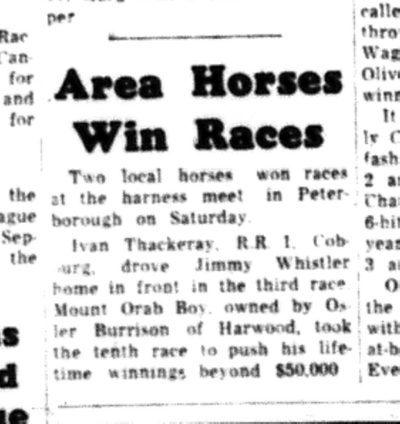 1964-09-02 Horse Racing - Harness Meet - Peterborough - Ivan Thackerray -