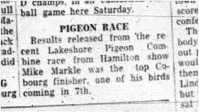 1964-10-07 Pigeon Racing - Lakeshore Pigeon Combine Race - Results