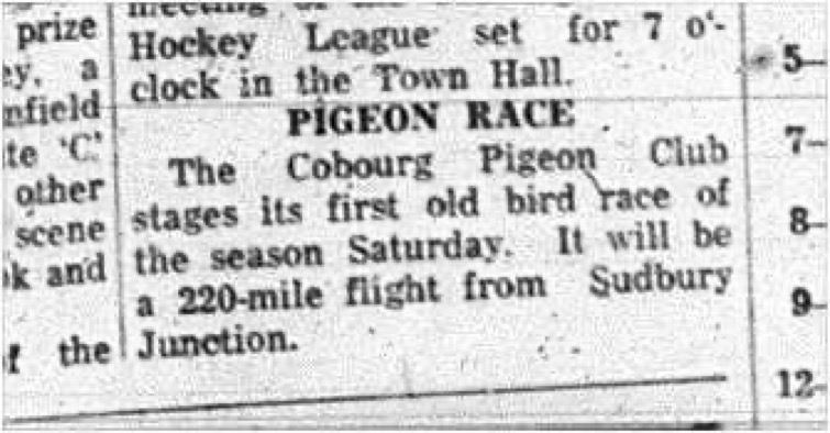 1965-05-19 Pigeon Racing - Men - Cobourg Pigeon Club - Sudbury