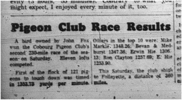 1965-06-02 Pigeon Racing - Men - Cobourg Pigeon Club - John Fox