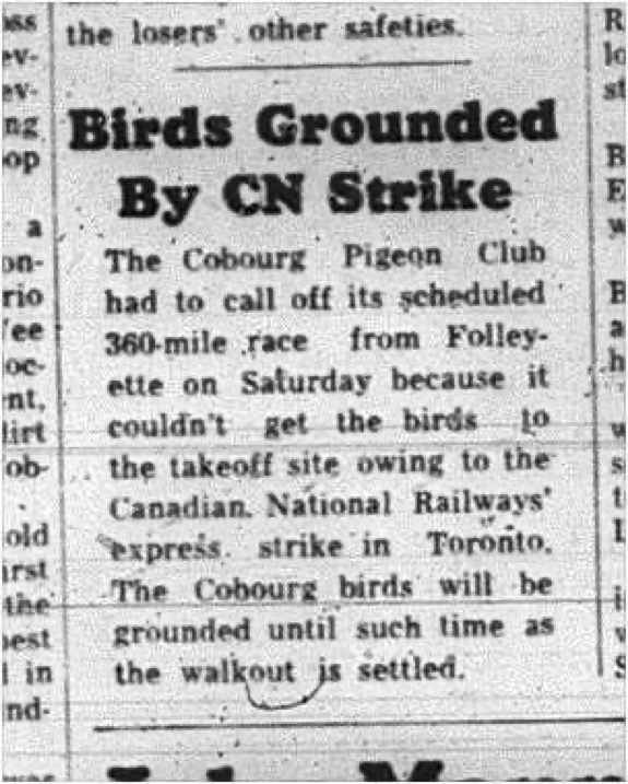 1965-06-09 Pigeon Racing - Men - Cobourg Pigeon Club - CN Strike