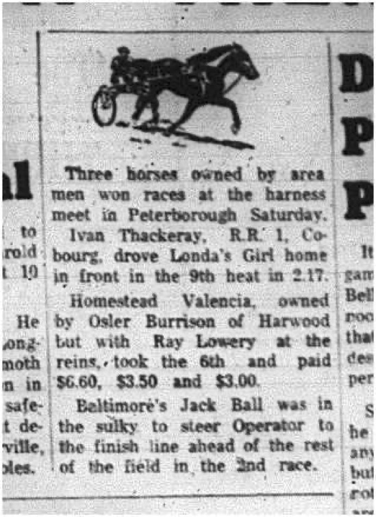 1965-06-16 Horse Racing - Men - Harness Meet - Peterborough