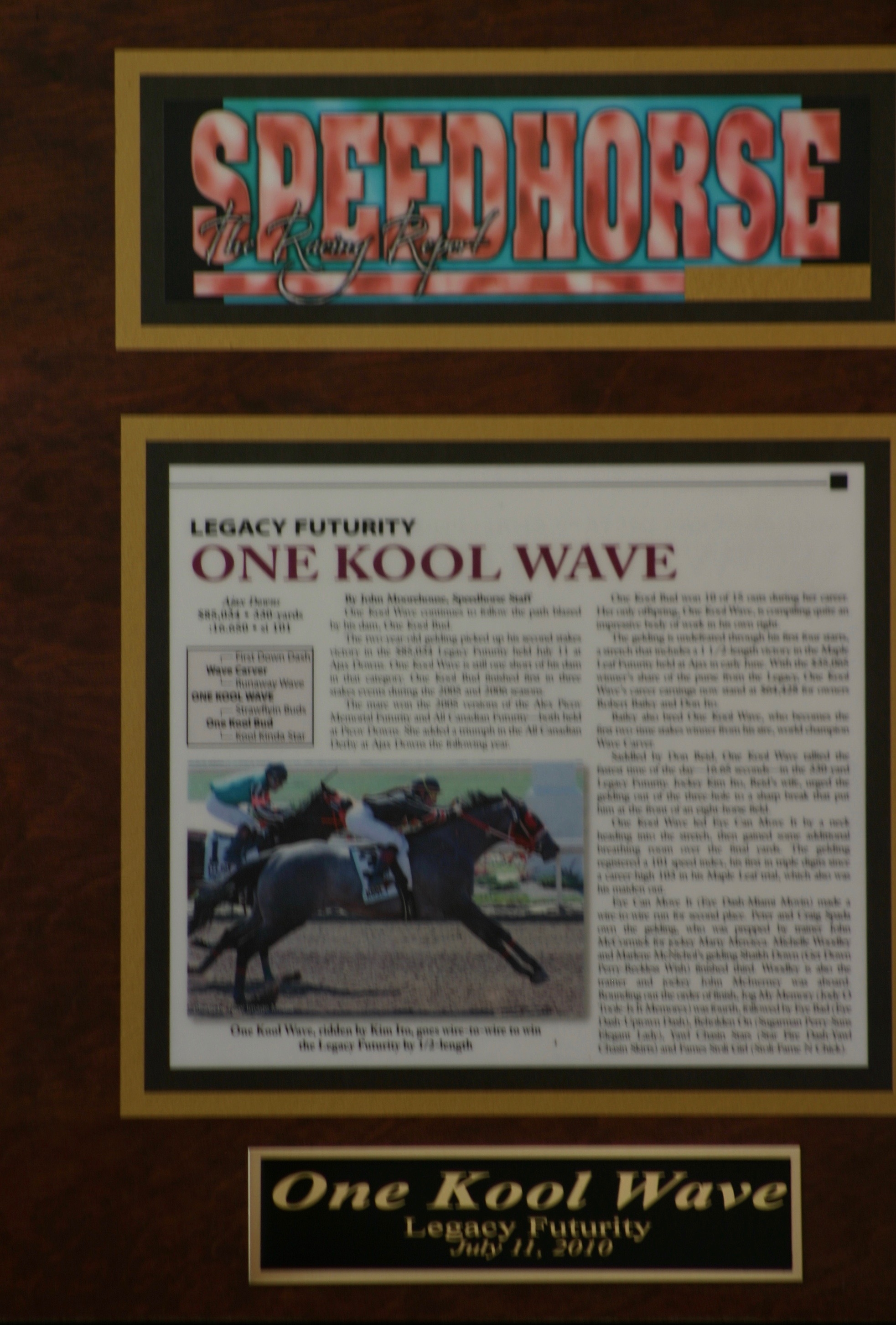 2010 Don Ito plaque tributes horse One Kool Wave