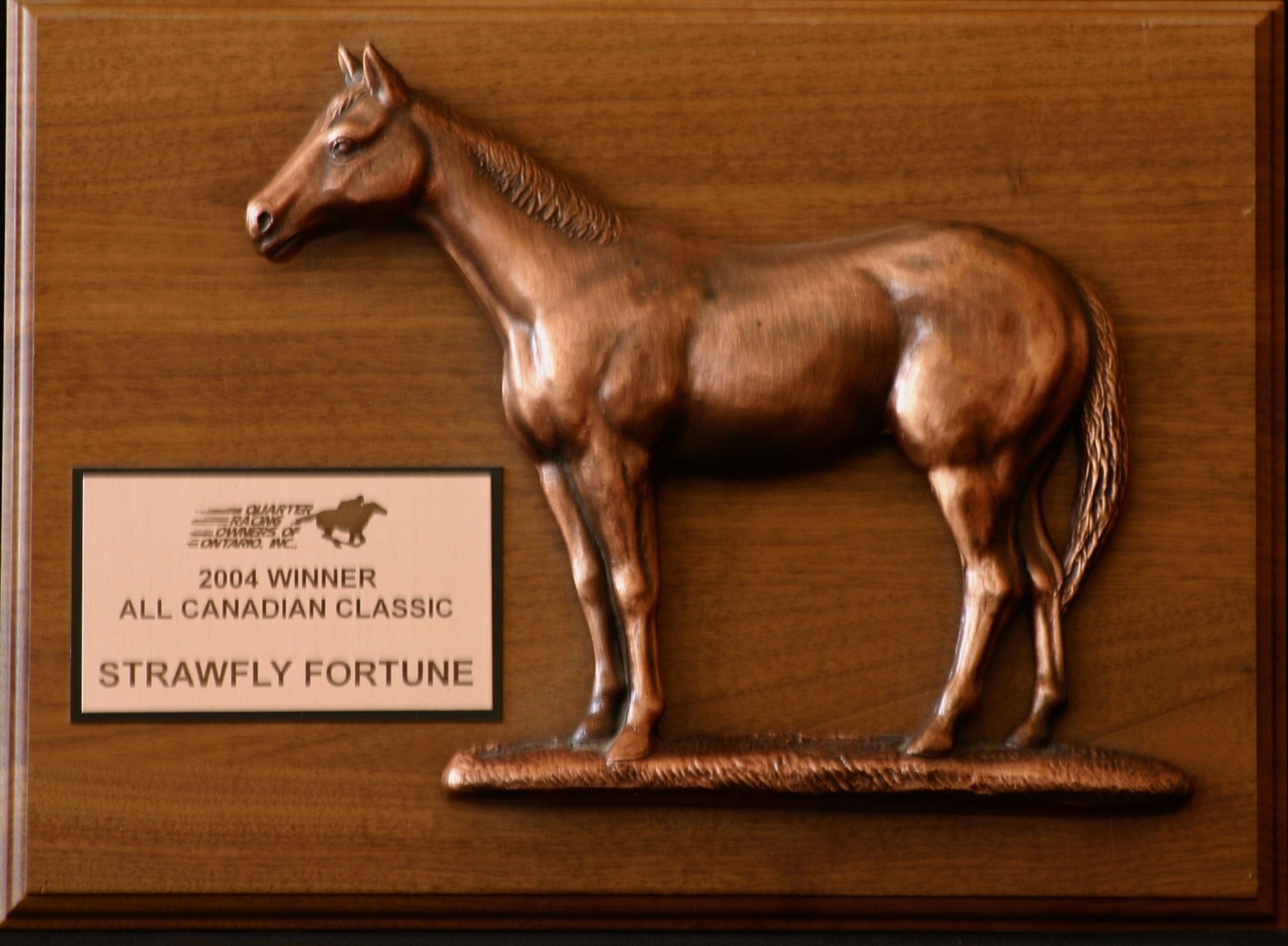 2004 Don Ito plaque Strawfly Fortune horse wins