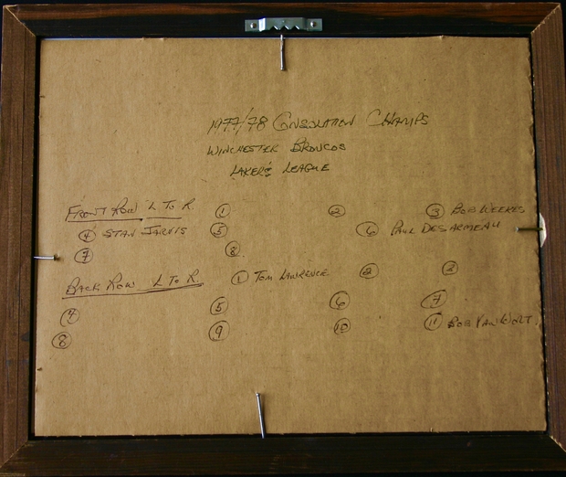 1978 Lakers League Hockey team Champions photo